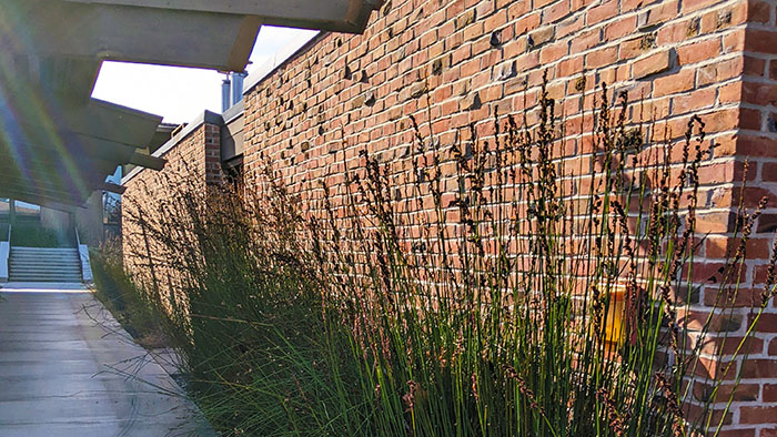 BSS 3000 Stock Photo of breezeway between buildings 3000 and 3300