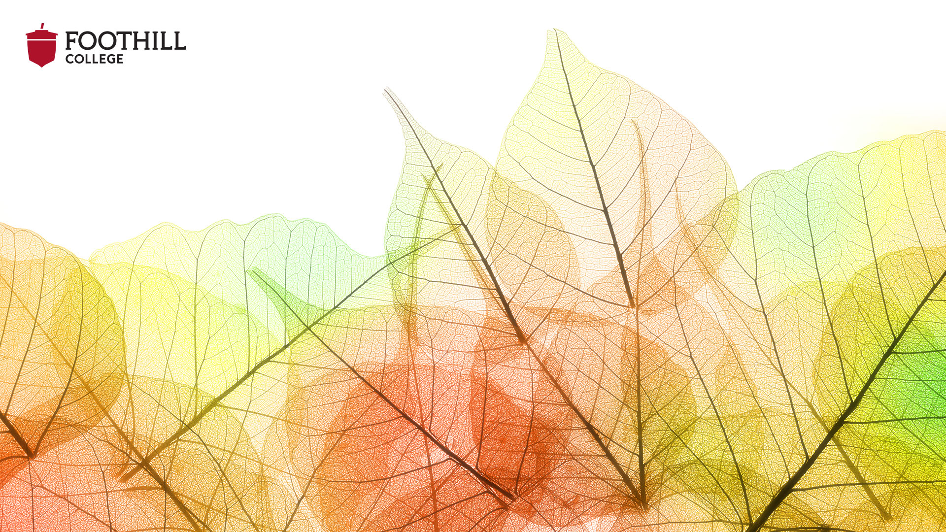 Foothill Fall 2021