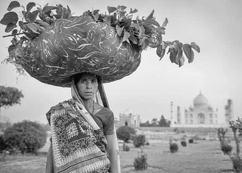 groundskeeper groundskeeper